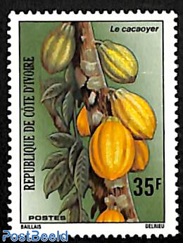 Cacao tree 1v