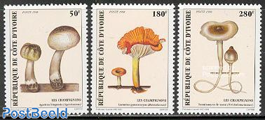 Mushrooms 3v