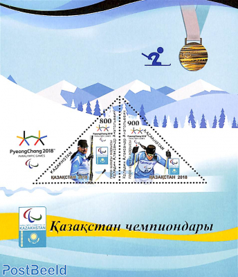 Paralympic winter games s/s