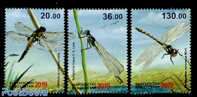Dragonflies 3v