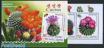 Cactus flowers booklet