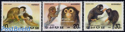 Year of the monkey 3v
