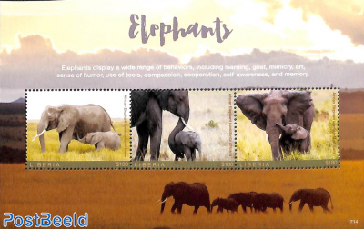 Elephants s/s