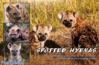 Spotted Hyenas 3v m/s