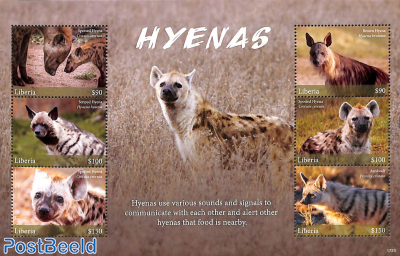 Hyenas 6v m/s