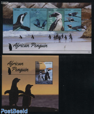 African Penguin 2 s/s