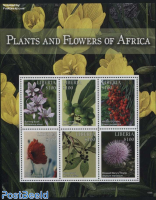 Plants & Flowers of Africa 6v m/s