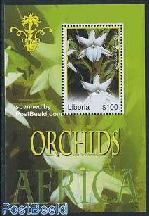 Orchids s/s, Angraecum sororium