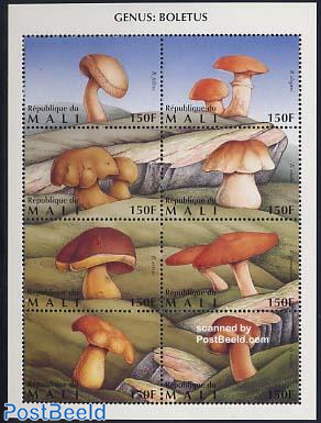 Mushrooms 8v m/s (8x150F)