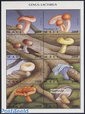Mushrooms 8v m/s (8x200F)