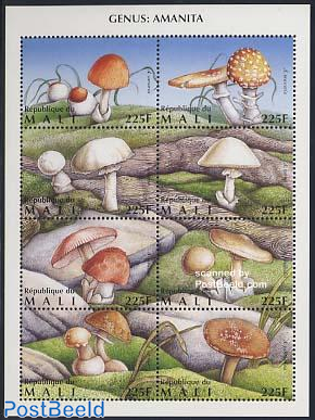 Mushrooms 8v m/s (8X225f)