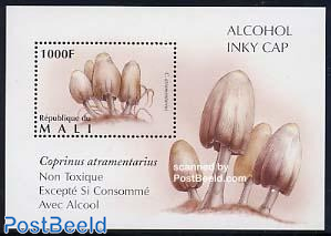 Mushrooms s/s, Coprinus atramentarius
