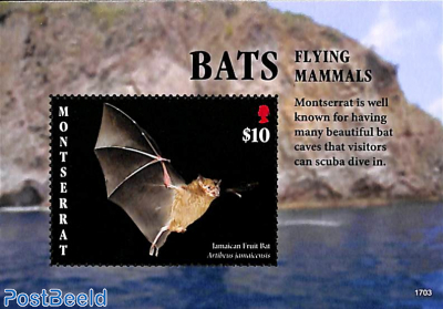 Bats s/s