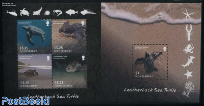 Leatherback Sea Turtle 2 s/s