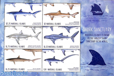 Shark sanctuary 6v m/s
