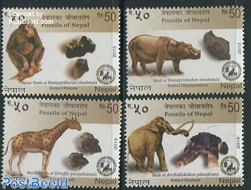 Fossils and prehistoric animals 4v