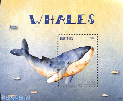 Whales s/s