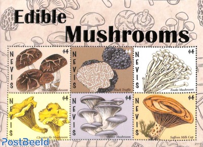 Edible mushrooms 6v m/s