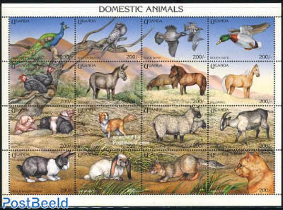 Domestic animals 16v m/s