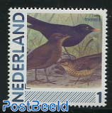 Birds, Blackbird 1v