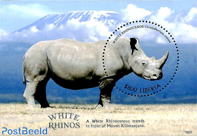 White Rhino s/s