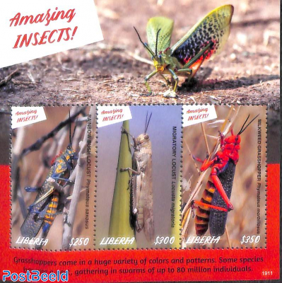 Insects, Rainbow Bush Locust 3v m/s