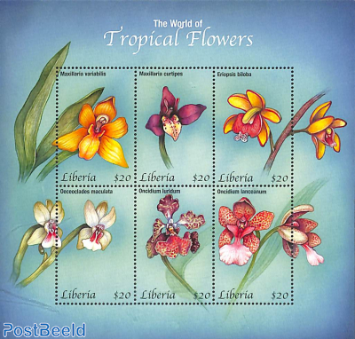 Tropical orchids 6v m/s