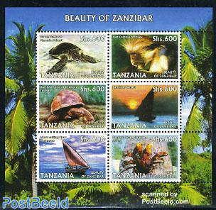 Beauty of Zanzibar 6v m/s