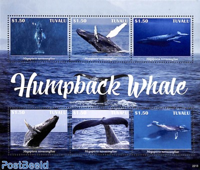 Humpback Whale 6v m/s