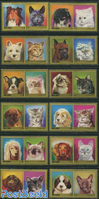 Cats and dogs 12v