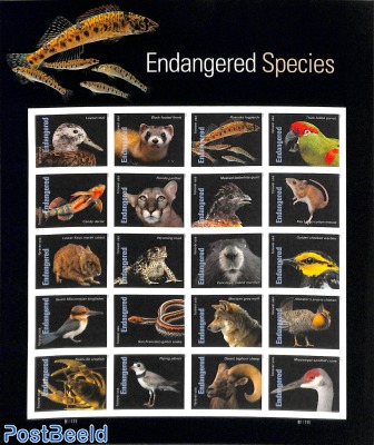 Endangered Species 20v m/s s-a