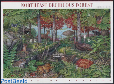 Northeast Deciduous Forest 10v m/s