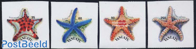 Starfish 4v