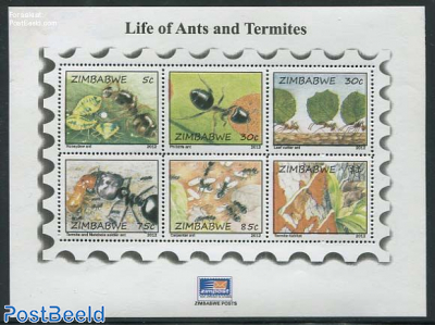 Ants & termites 6v m/s